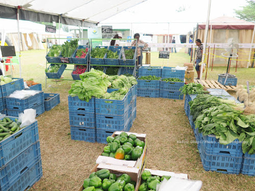 Exposition-vente à la foire agricole internationale de Kinshasa des produits cultivés par l’entreprise DAIPN. Le 21/08/2017. Radio Okapi/Ph. John Bompengo. Photo d'illustration